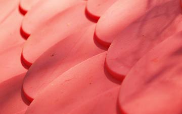 Dragley Beck plastic roof costs